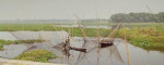 Charan Beel, Morigaon  - Freshwater Wetland & Birding Destination In Assam tourist place in Assam
