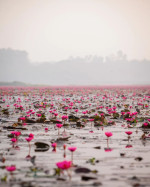 Urpad Beel Goalpara – Assam's Largest Natural Wetland & Birdwatching Paradise tourist place in Assam