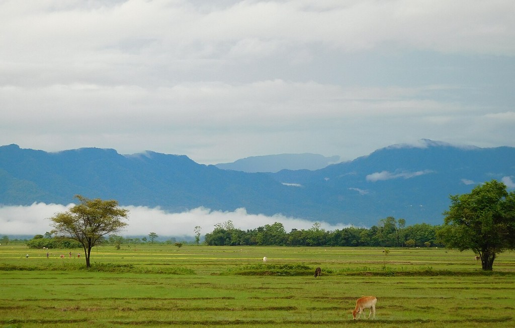 Explore the Scenic Hills and Mountains of Assam